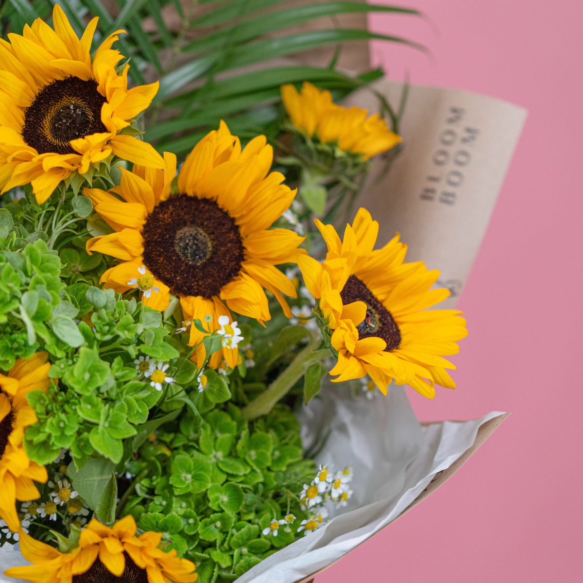 Bright yellow sunflower bouquet with green foliage and white baby's breath in clear glass vase on pink surface