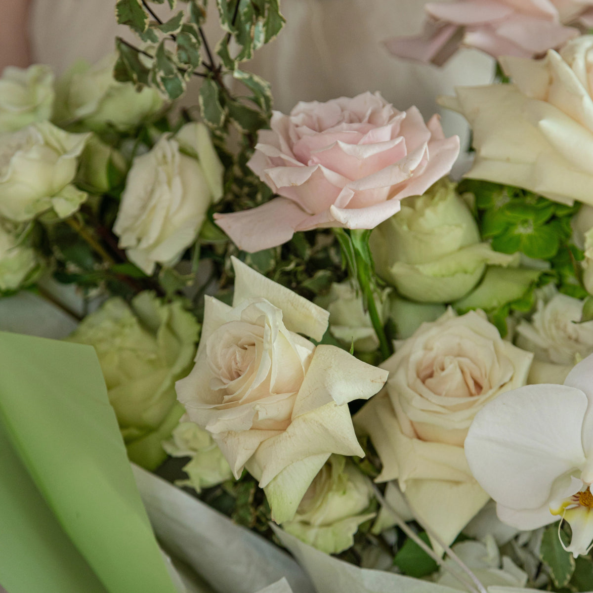 Sweet Lemonade bouquet with blush pink roses, white orchids, green hydrangeas and eucalyptus in white wrapping