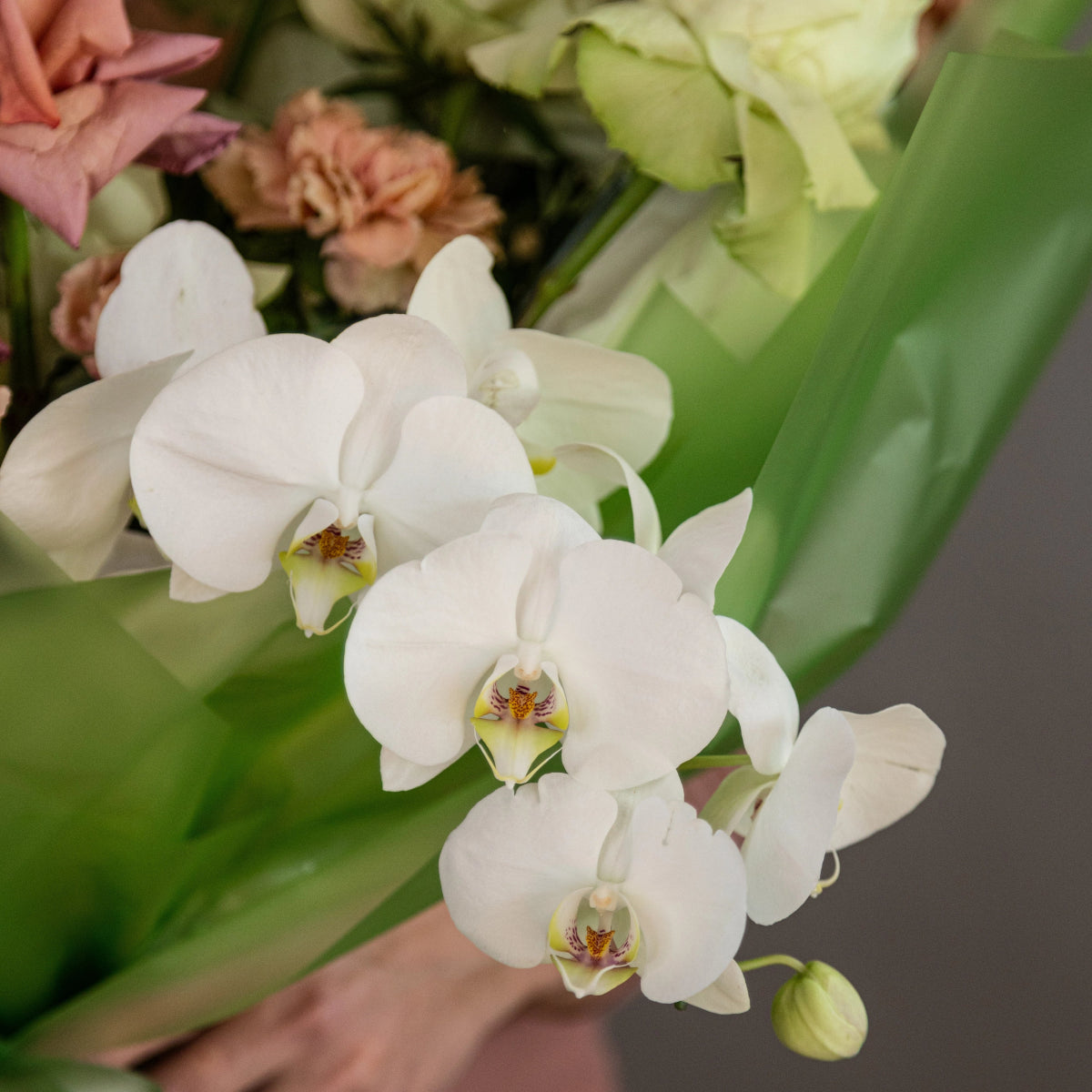 White orchid flowers with yellow centers and pink carnations in mixed floral bouquet with green foliage