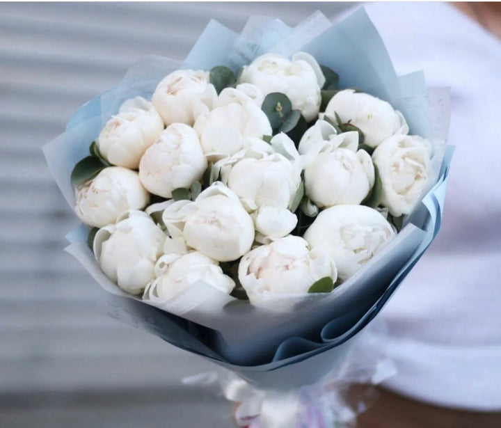Bouquet of 10/15/30/50 white peonies