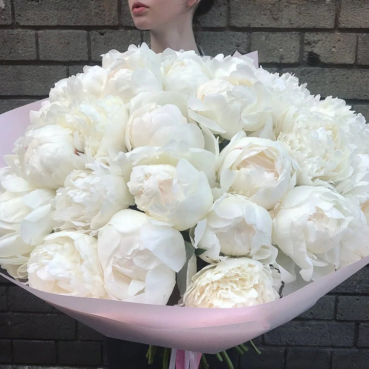 Bouquet of 10/15/30/50 white peonies